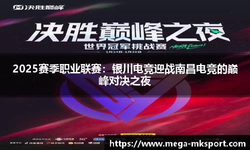 2025赛季职业联赛：银川电竞迎战南昌电竞的巅峰对决之夜