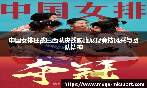 MK体育登录入口